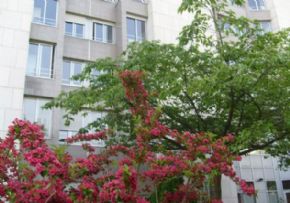 Photo Maison De Retraite De Neuilly Sur Seine, maison de retraite Publique, Ehpad à Neuilly Sur Seine 92