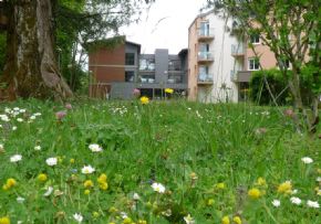 Photo Ehpad Jardin Du Seillon, maison de retraite Publique, Ehpad à Bletterans 39