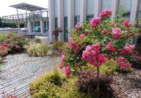 Photo Ehpad La Rose Des Vents, maison de retraite Publique, Ehpad à Belleme 61