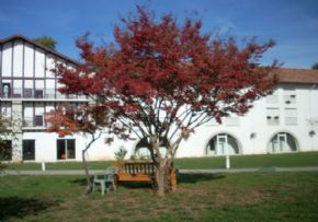 Photo Fondation Luro, maison de retraite priv&eacute;e associative, Ehpad à Ispoure 64