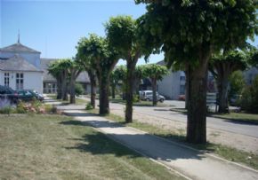Photo Ehpad La Reynerie, maison de retraite Publique, Ehpad à Bouin 85