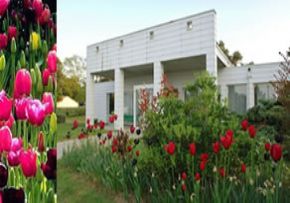 Photo Residence Les Tulipes, maison de retraite Publique CCAS, Ehpad à La Tranche Sur Mer 85